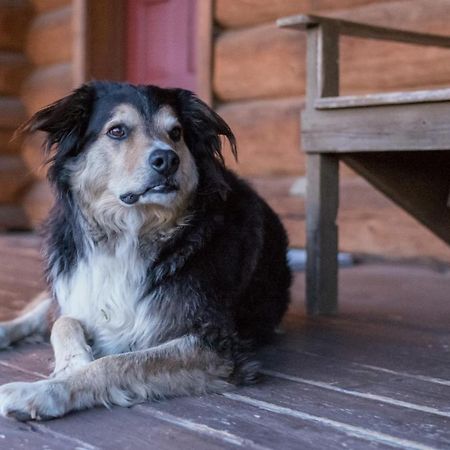 Wells Gray Guest Ranch Hotel Clearwater Buitenkant foto