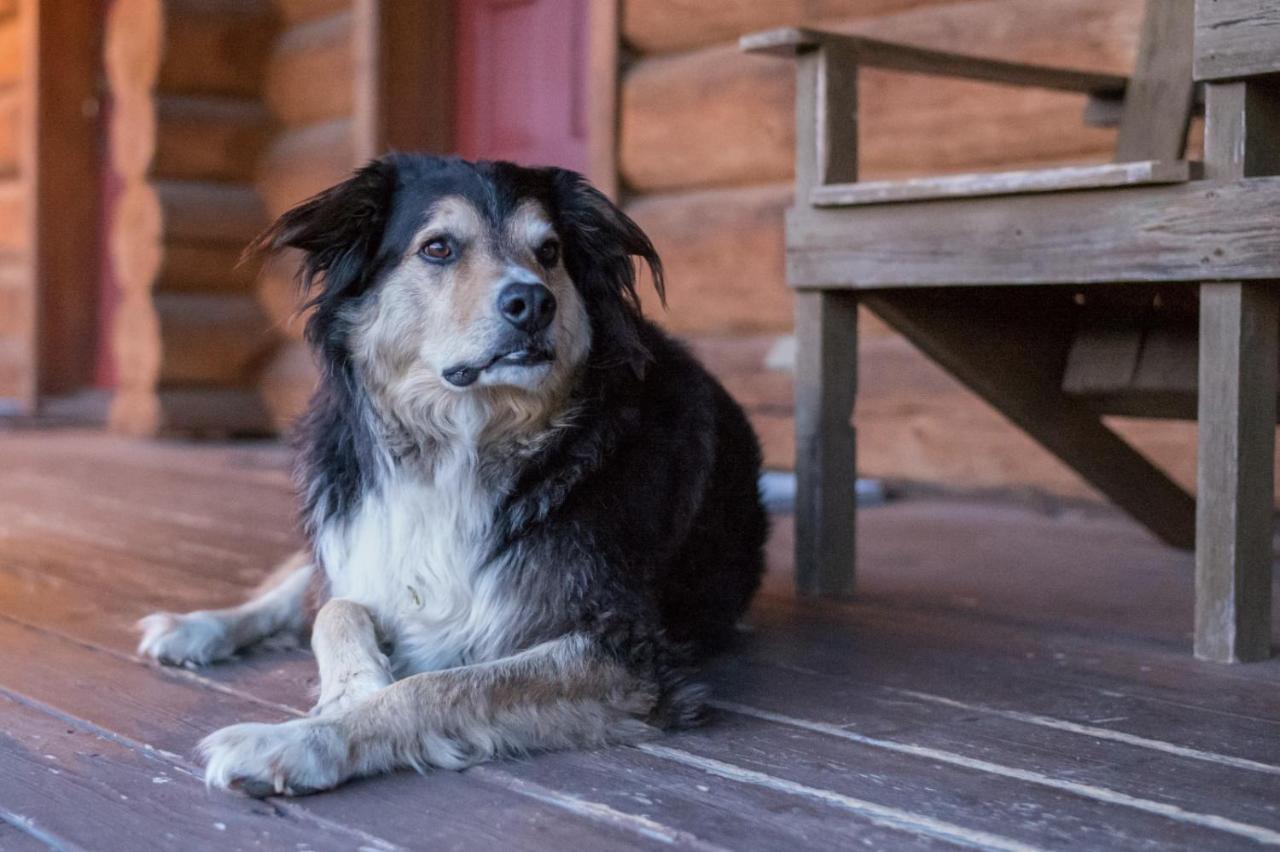 Wells Gray Guest Ranch Hotel Clearwater Buitenkant foto