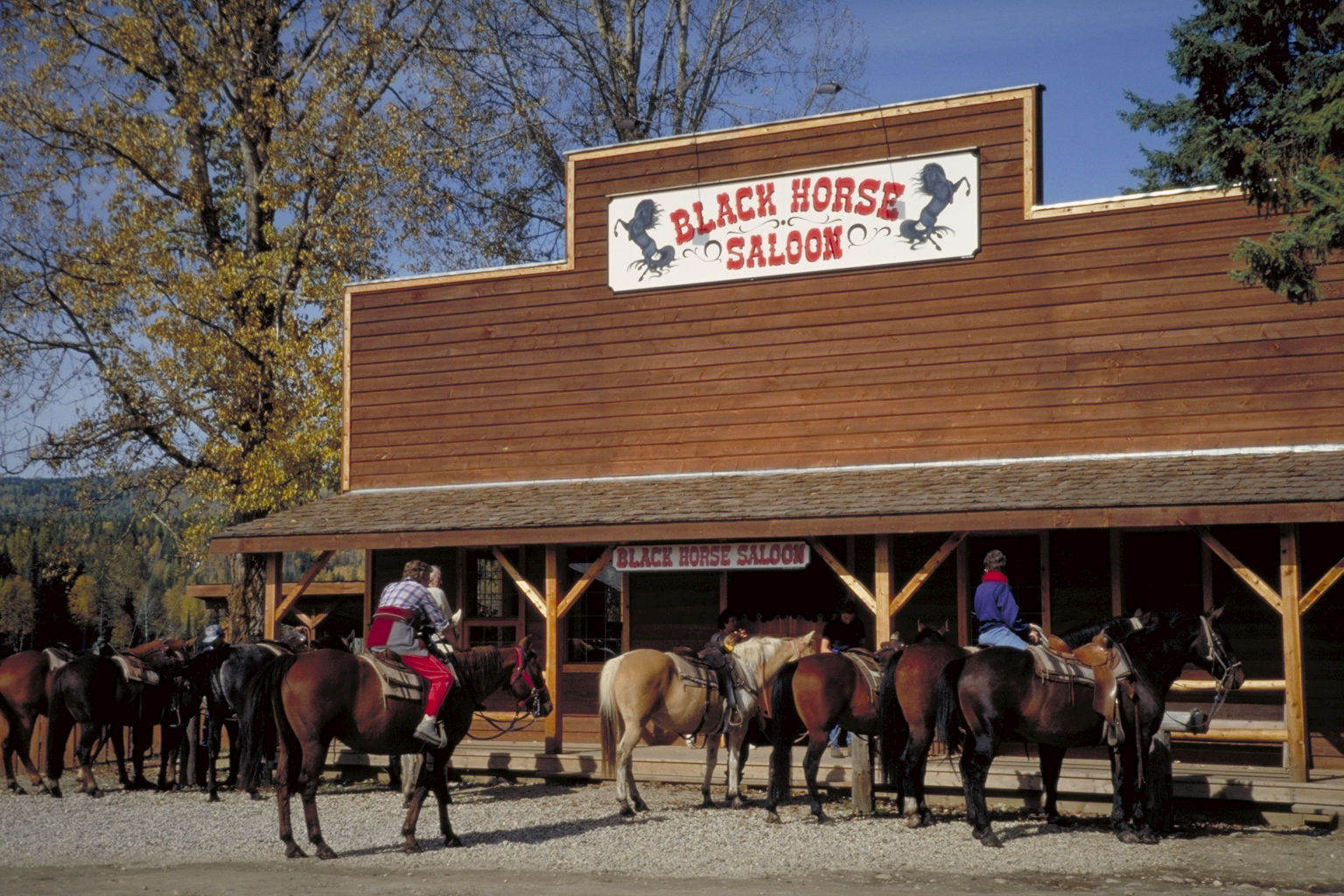 Wells Gray Guest Ranch Hotel Clearwater Buitenkant foto
