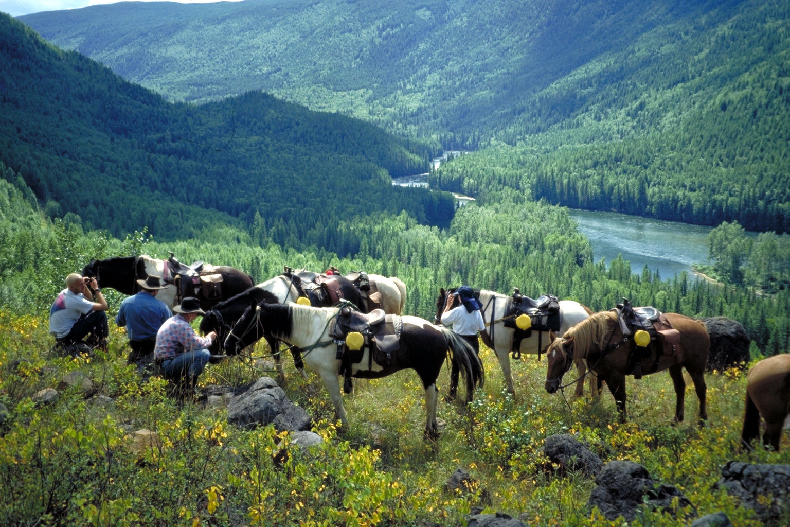 Wells Gray Guest Ranch Hotel Clearwater Buitenkant foto