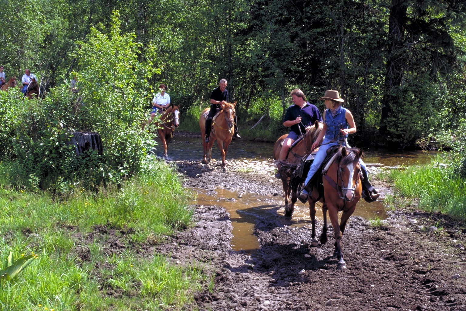 Wells Gray Guest Ranch Hotel Clearwater Buitenkant foto
