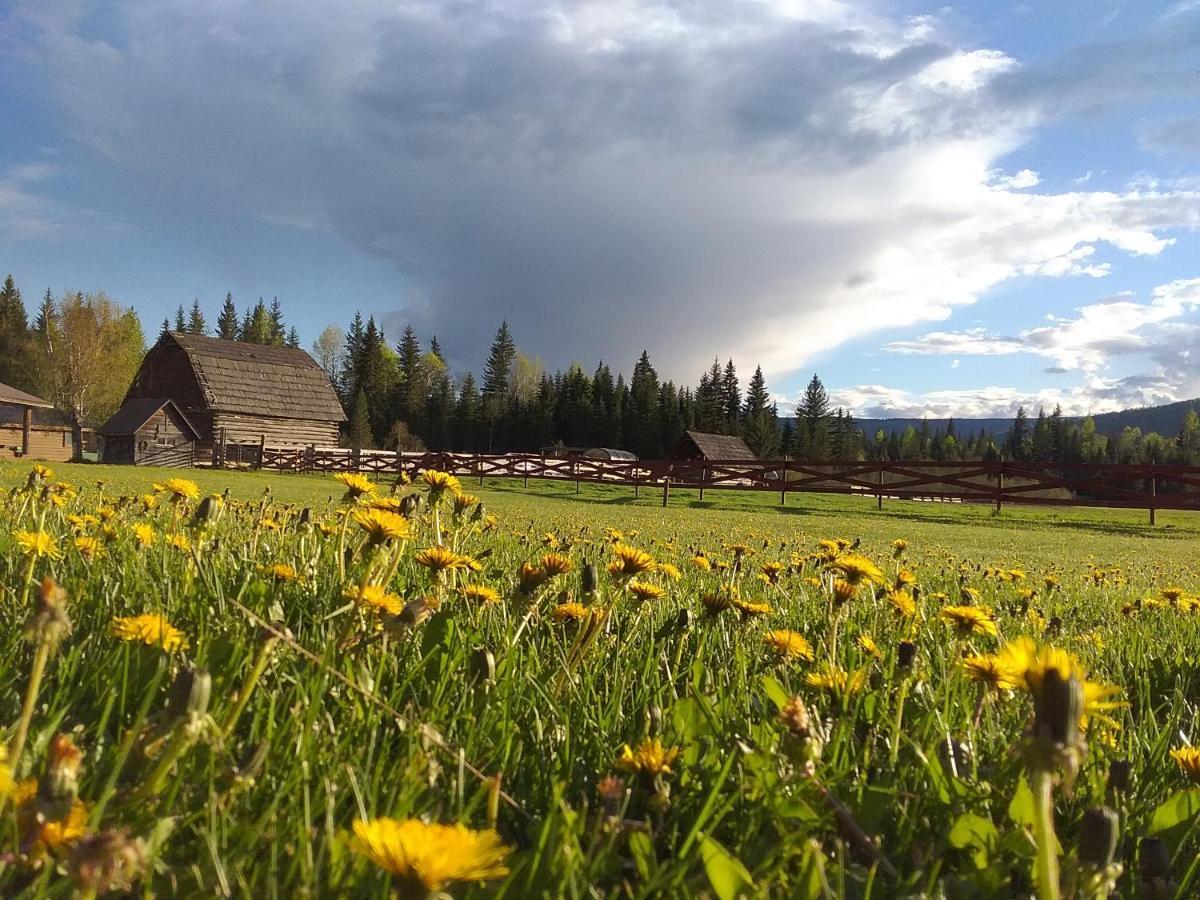 Wells Gray Guest Ranch Hotel Clearwater Buitenkant foto
